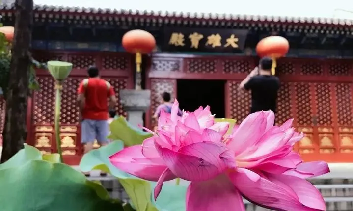 Private Beijing Spiritual Tour with Lunch and Tea Ceremony