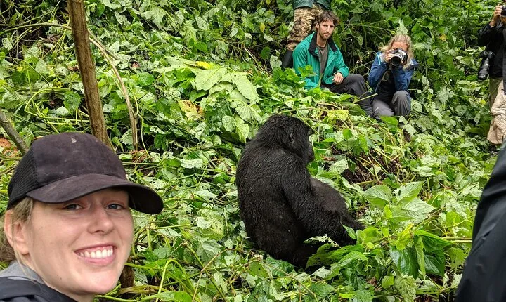 3 Days Ultimate Gorilla Trekking Safari