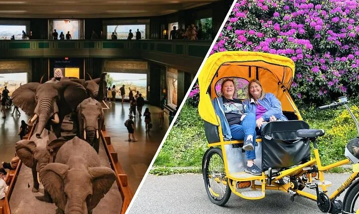 Central Park Pedicab Tour with Optional Natural History Tickets