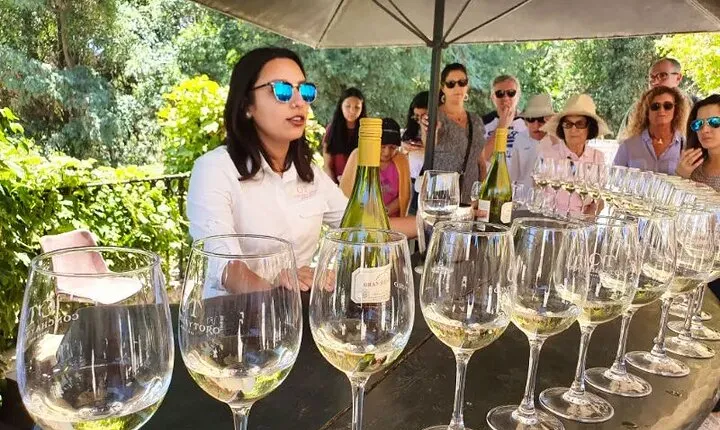 Private San Antonio, Visit Concha y Toro Winery & Transfer hotel