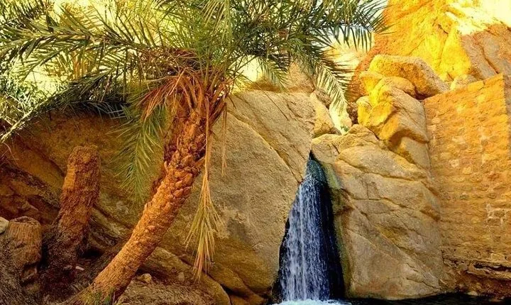 The Tunisian South between Oasis and Mountain: 3 Days / 2 Nights Douz and Tozeur