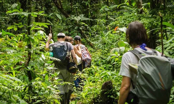 Full jungle experience tour