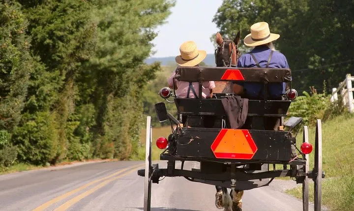 Premium Amish Country Tour including Amish Farm and House