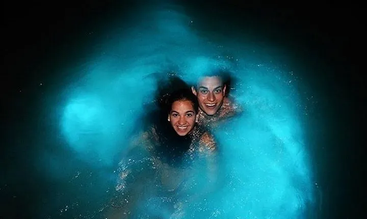 Luminous Lagoon Private Night Tour [ All Fees included ]