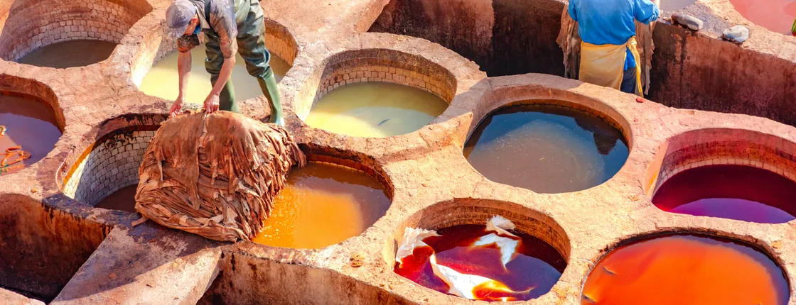 Fez half-day sightseeing tour