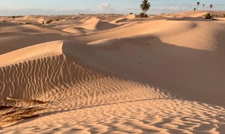 7 Day Guided Tunisia Tour Including Pickup