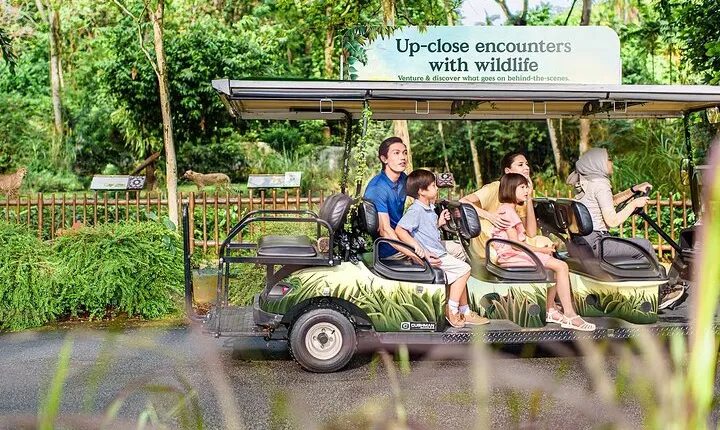 Singapore Zoo Tickets with Tram Ride