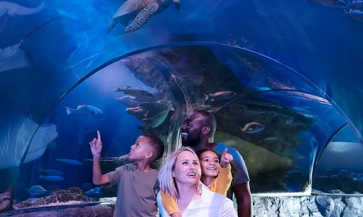 SEA LIFE Aquarium Minnesota Admission Ticket at Mall of America