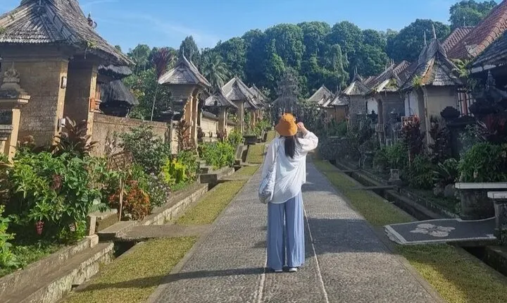 Bali Penglipuran Village, School Visit, Waterfall and Temple Tour