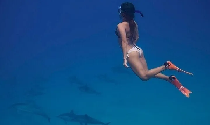 Dolphin House Snorkeling Trip & Transfer W/Lunch :Marsa Alam