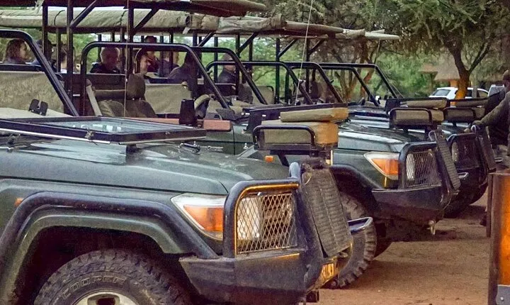 Safari Game Drive: Dinokeng Game Reserve