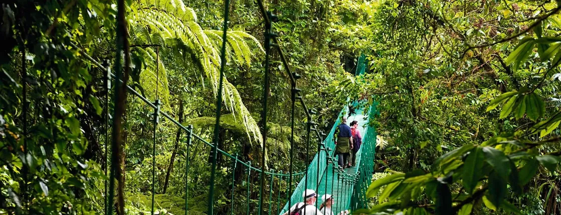 Sky Walk Monteverde Tour
