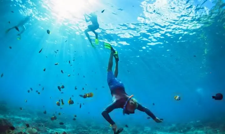 Snorkel Cruise Private Tour to Underwater Sculptures in Grenada