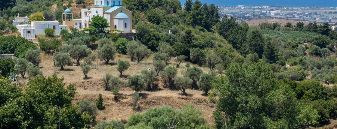 Kefalos and Zia tour including wine and honey tastings