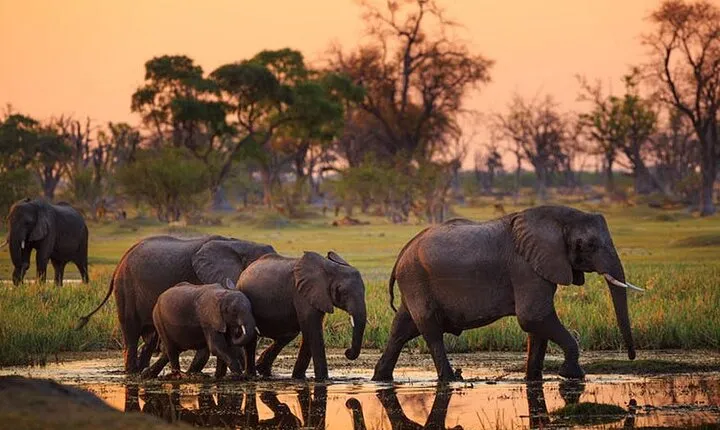 4-Day Comfort Safari to Tarangire, Ngorongoro & Materuni