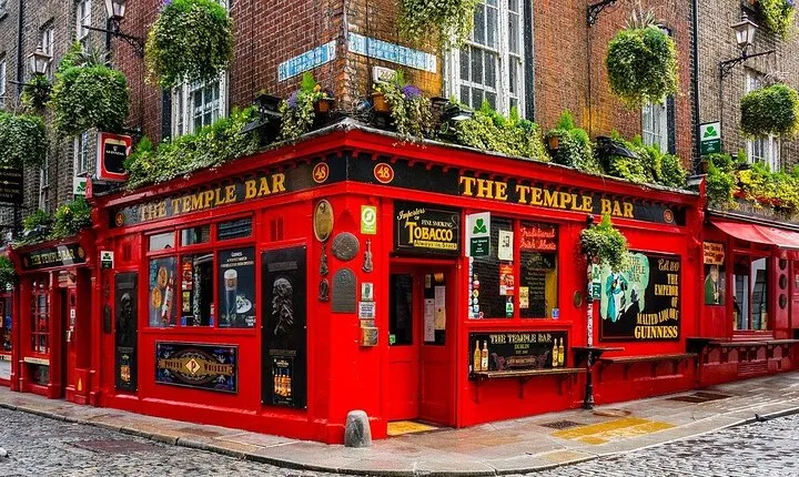 Dublin Private Walking Tour With A Professional Guide
