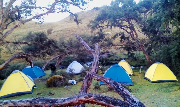 Camping Tour Cajas National Park from Cuenca