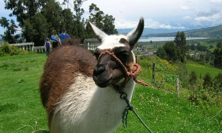Otavalo Market & Peguche Waterfall Private Tour