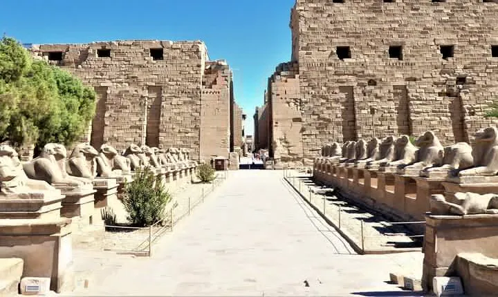 Luxor East Bank Private Tour: Karnak Temple - Luxor Temple