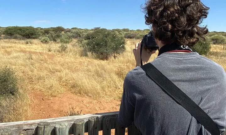 Predator Encounter: Half-Day Carnivore Feeding Windhoek