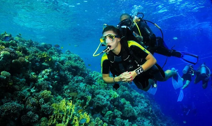 Marsa Mubarak Intro Dive & Snorkeling with Transfer : Marsa Alam