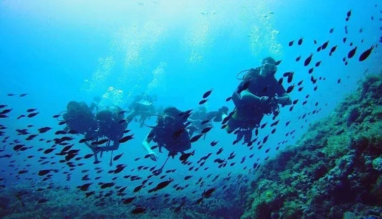 Discover Scuba with Norway Dive