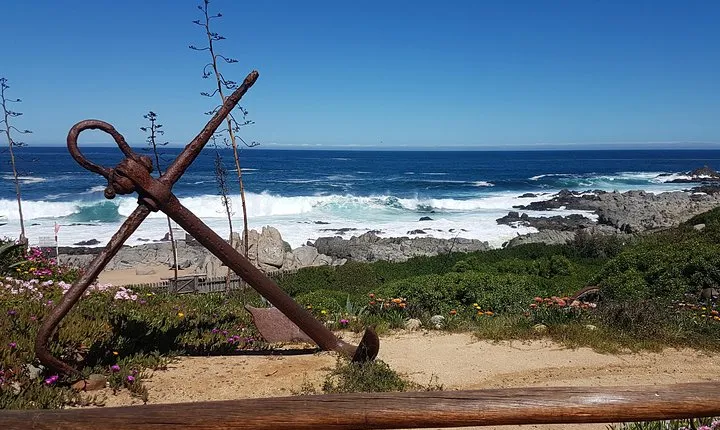 Poetry and Wines: Isla Negra and Undurraga vineyard