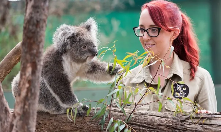 Melbourne Highlights and Aussie Wildlife Express Tour