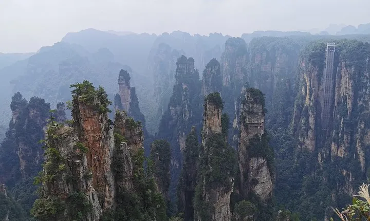 Private Day Tour: Discover Zhangjiajie National Forest Park-Avatar Mountain