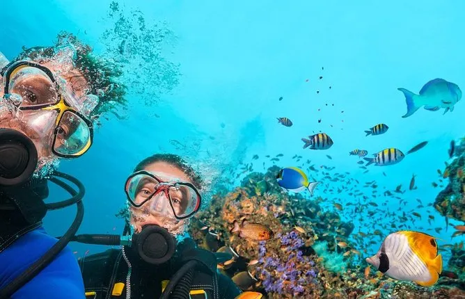 Kemer Scuba Diving with transfer from Antalya