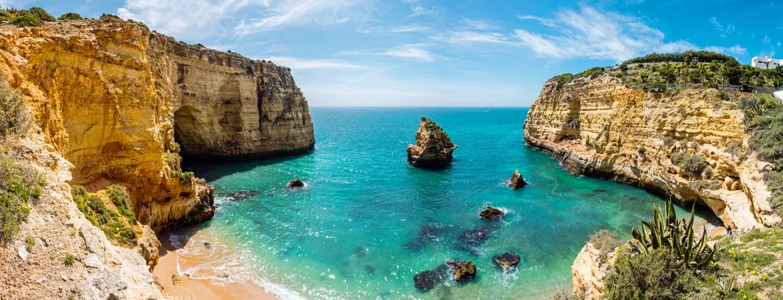 Caves and Dolphin- Watching Aboard the Dreamer