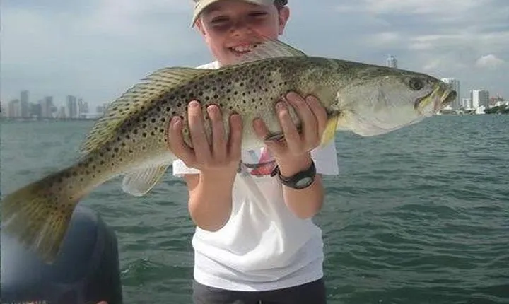 6-hour Miami Inshore Fishing trip