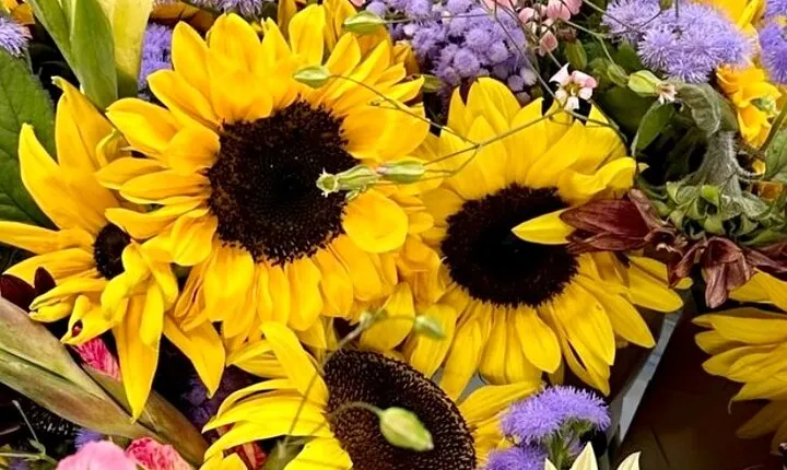 Flower Garden and Homestead Historical Walking Tour