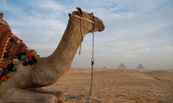 Private Half Day Tours To Giza Pyramids And Sphinx