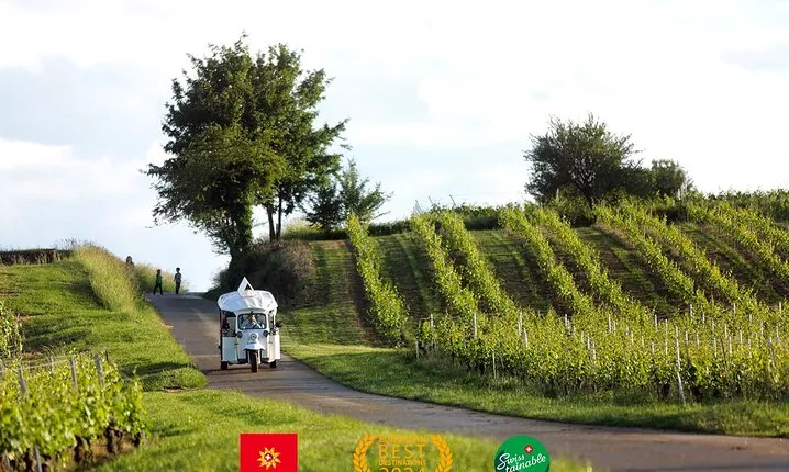 Geneva Panoramic & Tasting Vineyards Tour in an Tuk Tuk
