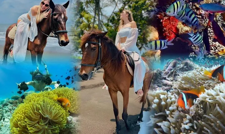 Bali Horse ride with Snorkeling