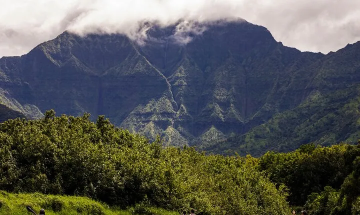 Hanalei River Paddle and Bay Snorkel Tour with Lunch