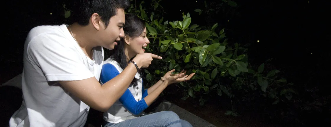 Fireflies tour with boat ride & seafood dinner