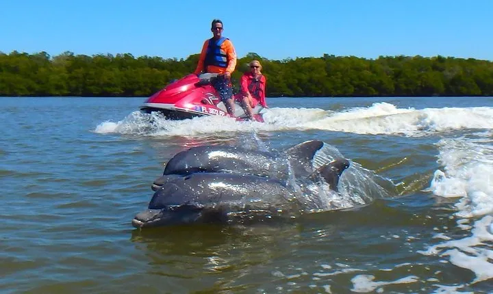 Avi's Premium Dolphin Tour by Jet Ski