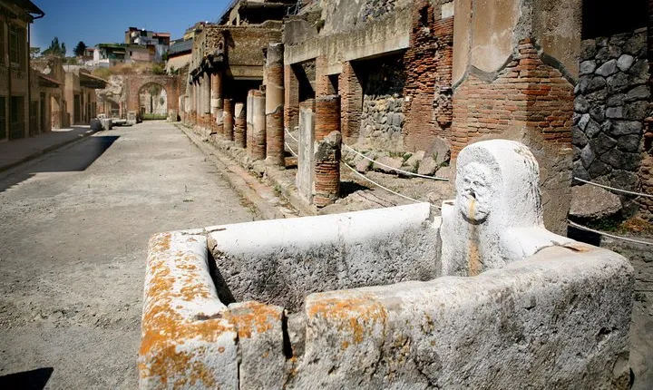 Pompeii, Mt. Vesuvius, Herculaneum Private Tour