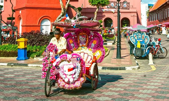 Malacca Historical Tour with Lunch at Baba Nyonya Restaurant