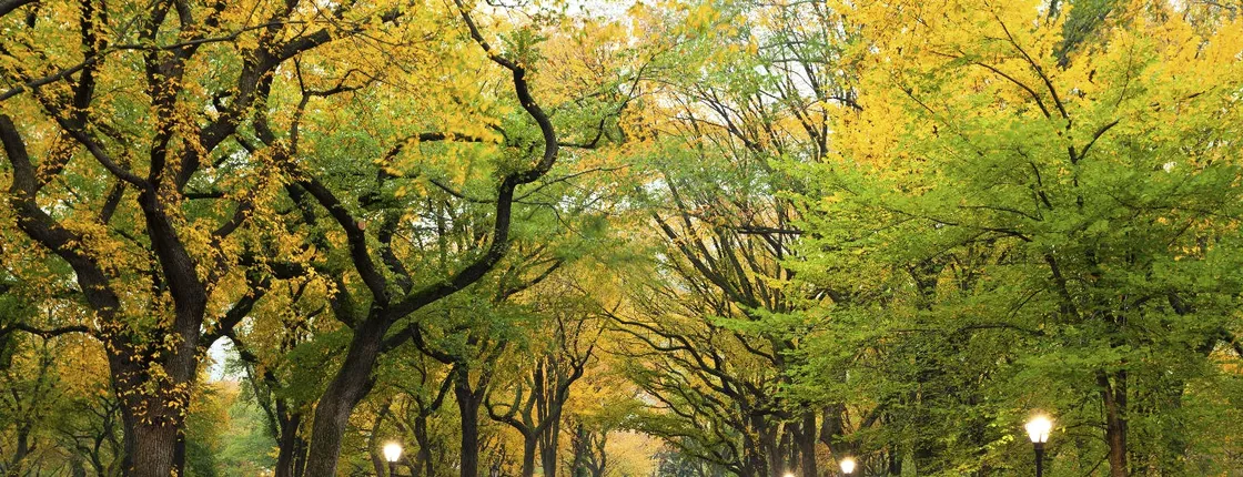 Central Park New York self-guided walking tour