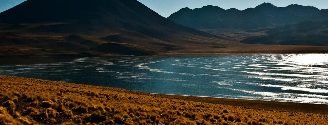 Altiplanic lagoons and Atacama Salt Flat full-day trip with lunch