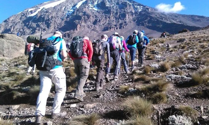 8 Days Lemosho Route Kilimanjaro Trekking