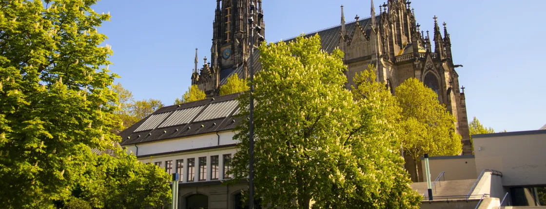 Explore the Instaworthy spots of Basel with a local