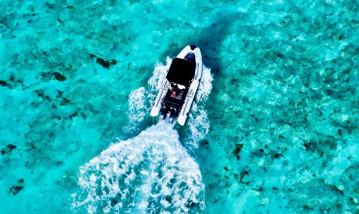 Zodiac RIB Pro Explorer Private Charter 4hr - EL CIELO SANDBAR