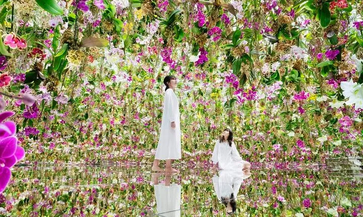 TeamLab SuperNature Macao Admission Ticket