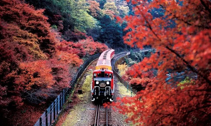 Osaka to Kyoto: Arashiyama w/ Sagano Scenic Train Day Trip