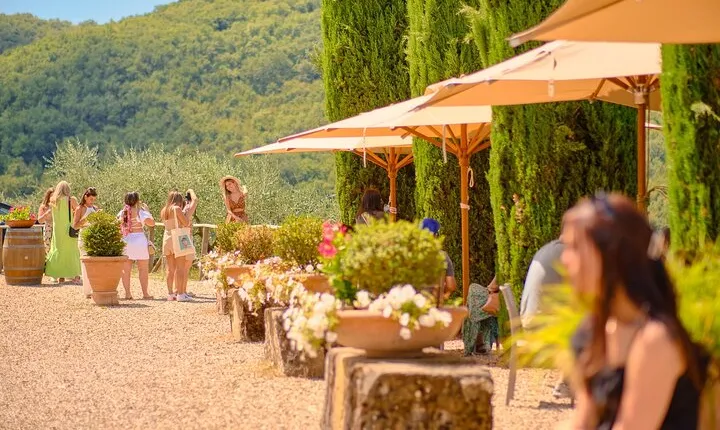 Half-day Experience to San Gimignano Hills with Picnic and Wine 