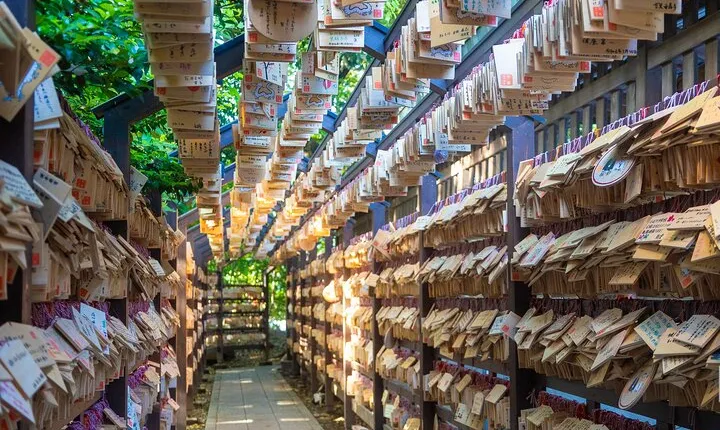 Private car tour Japanese history visit, buy lots of anime goods